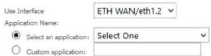 Use Interface Application Name: Select an application: Custom application: ETH WAN/eth1.2 Select One