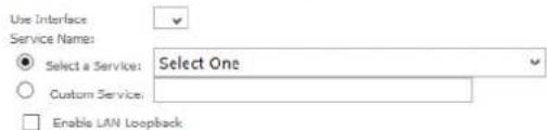 Use Interface Service Name: Select a Service: Select One Custom Service: Enable LAN Loopback