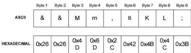 ASCII & & M m , B K L; HEXADECIMAL 0x26 0x26 0x4 D 0x6 D 0x2 C 0x42 0x4B 0x4 C 0x3B
