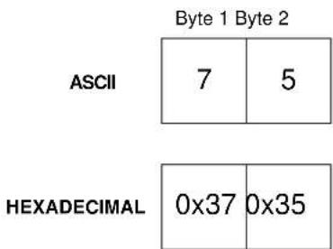 ASCII Byte 1 Byte 2 7 5 HEXADECIMAL 0x37 0x35