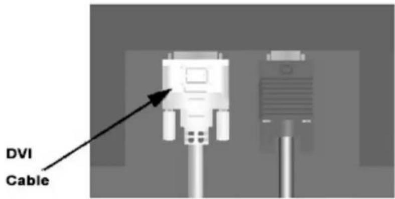 DVI Cable