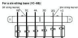 For a six-string base (1C-6B): 6B 5E 4A 3D 2G 1C 3D string marker 2nd string marker