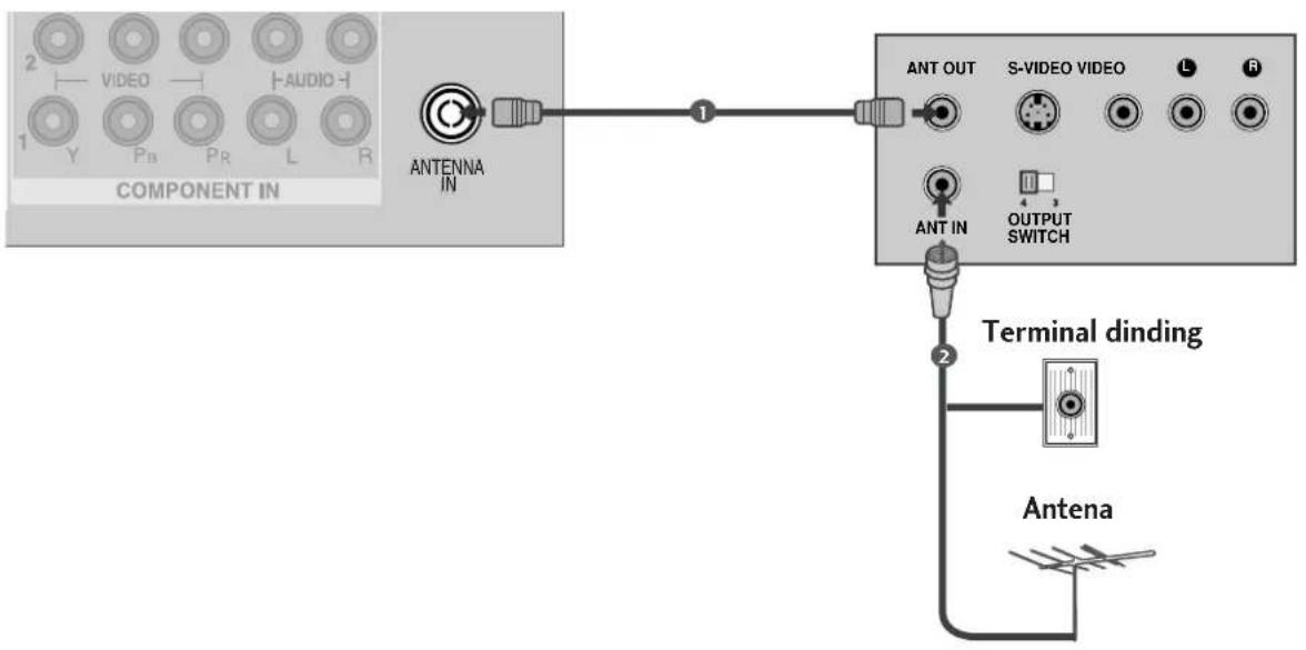 COMPONENT IN ANTENNA IN ANT OUT S-VIDEO VIDEO L R ANT IN OUTPUT SWITCH Terminal dinding Antena