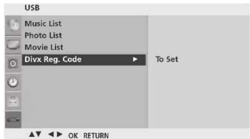 USB Music List Photo List Movie List Divx Reg. Code To Set OK RETURN