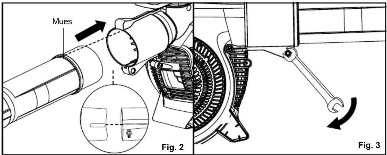 Mues Fig. 2 Fig. 3