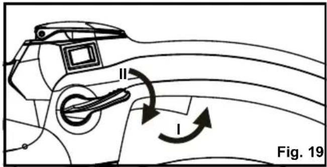Fig. 19