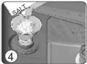 SALT 4
