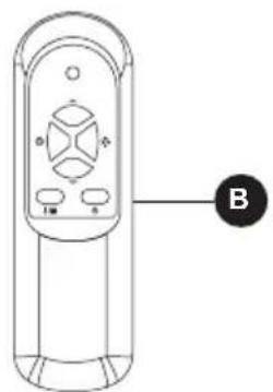 B