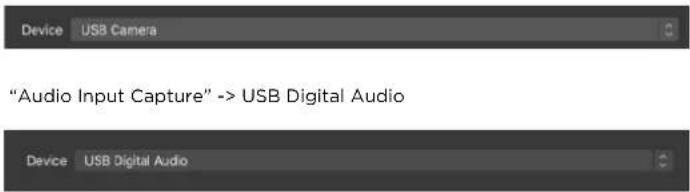 "Audio Input Capture" -> USB Digital Audio Device USB Digital Audio