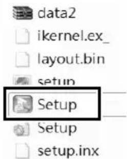 data2 ikernel.ex_ layout.bin setup Setup Setup setup.inx