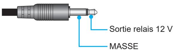 Sortie relais 12 V MASSE