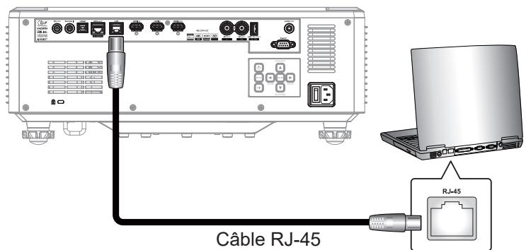 Câble RJ-45 RJ-45