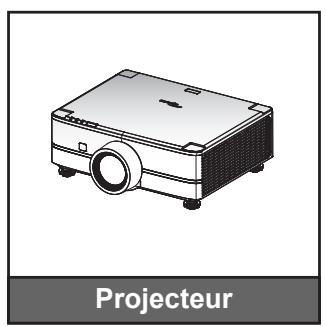 Télécommande (*)