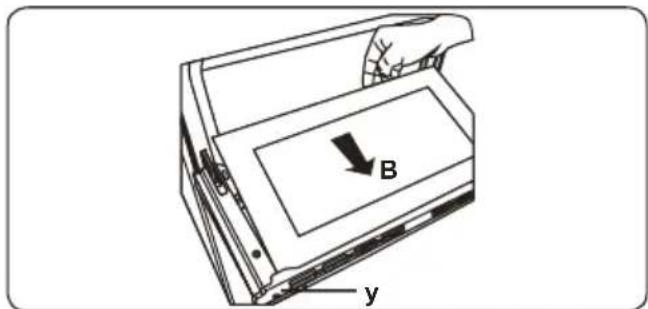 B y