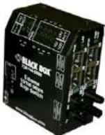 Black Box LBH600A-P-12 - NETWORK SERVICES - 2