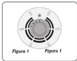 Figure 1 Figura 1