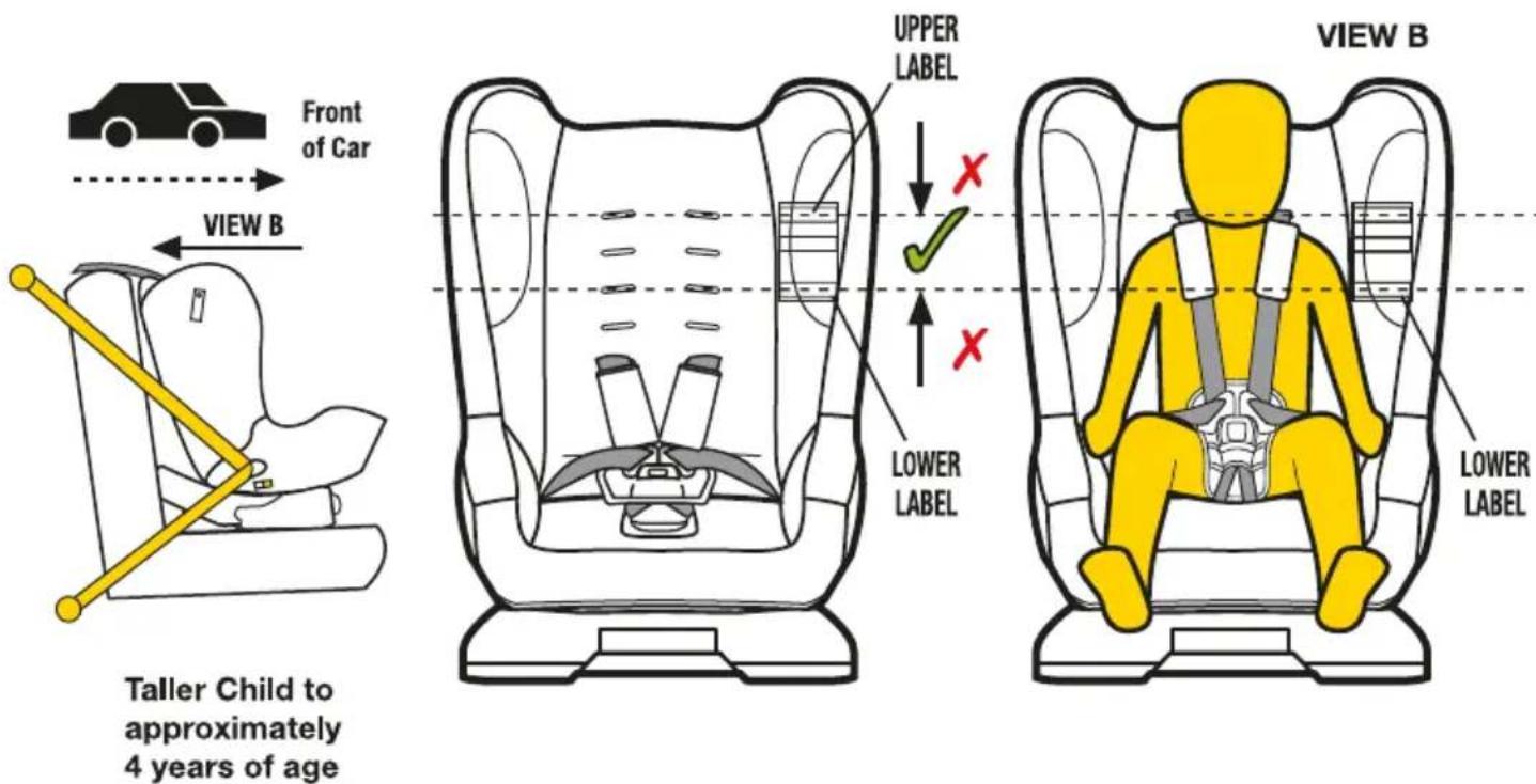 Front of Car VIEW B Taller Child to approximately 4 years of age UPPER LABEL LOWER LABEL VIEW B LOWER LABEL