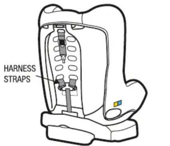 HARNESS STRAPS