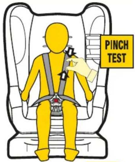 PINCH TEST
