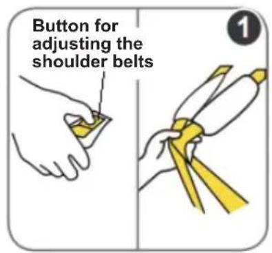 Button for adjusting the shoulder belts