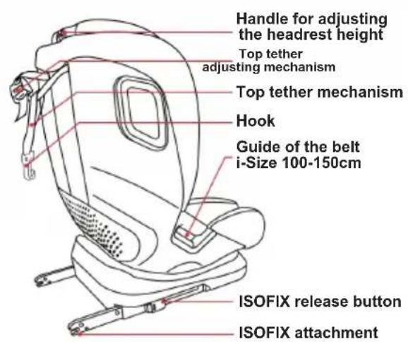Handle for adjusting the headrest height Top tether adjusting mechanism Top tether mechanism Hook Guide of the belt i-Size 100-150cm ISOFIX release button ISOFIX attachment