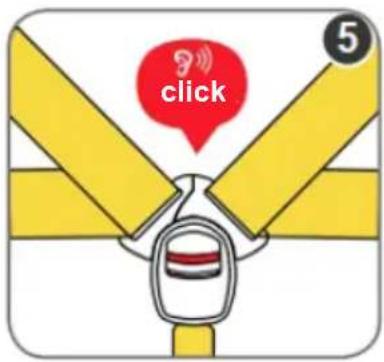 click 5