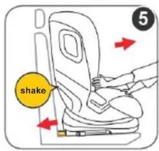 shake 5