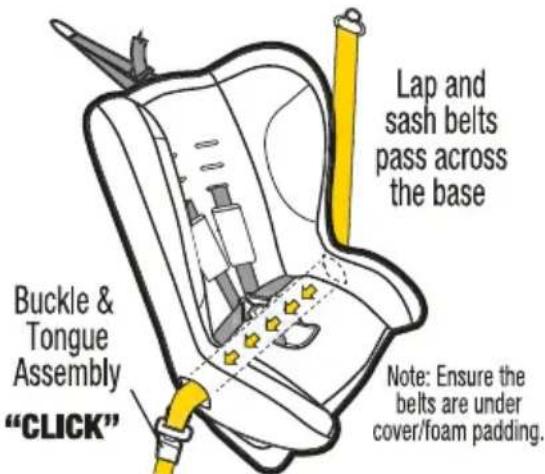Buckle & Tongue Assembly "CLICK" Lap and sash belts pass across the base Note: Ensure the belts are under cover/foam padding.
