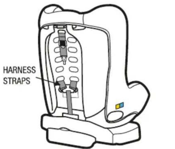 HARNESS STRAPS