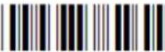 Posiflex CD-3201U - Enabling a single read. code - 33