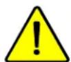 Wells ICP600 - PRECAUTIONS AND GENERAL INFORMATION - 1