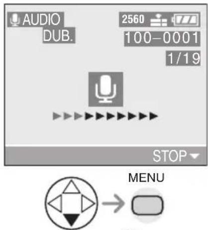 AUDIO DUB. 2560 100-0001 1/19 STOP MENU