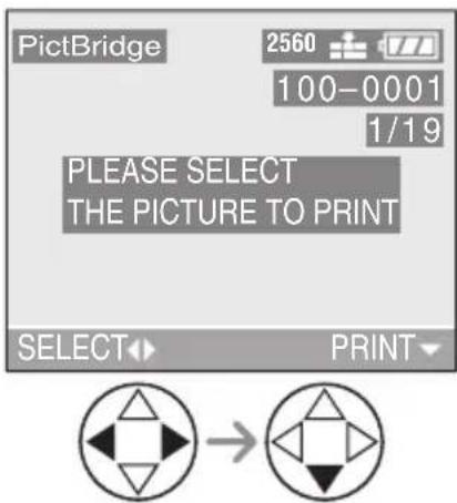 PictBridge 2560 100-0001 1/19 PLEASE SELECT THE PICTURE TO PRINT SELECT PRINT