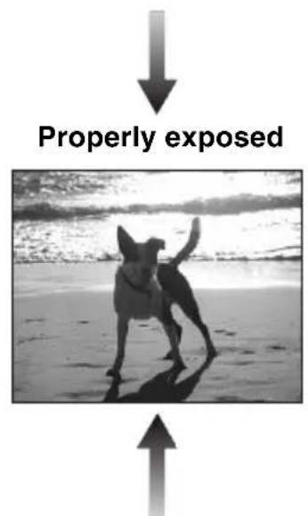 Properly exposed