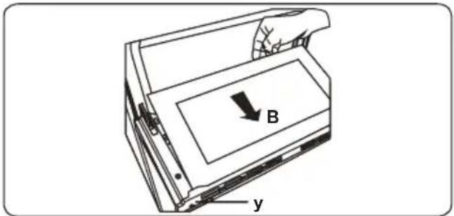 B y
