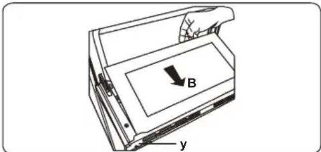 B y