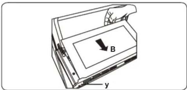 B y