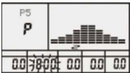 P5 P