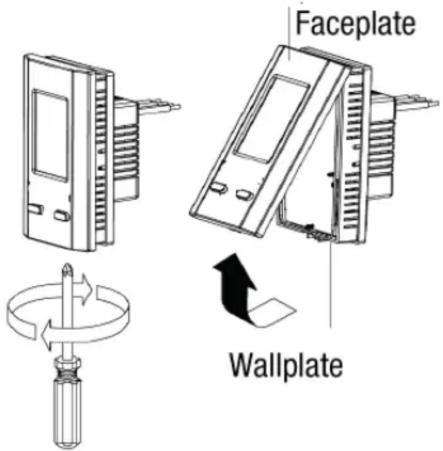 Faceplate Wallplate