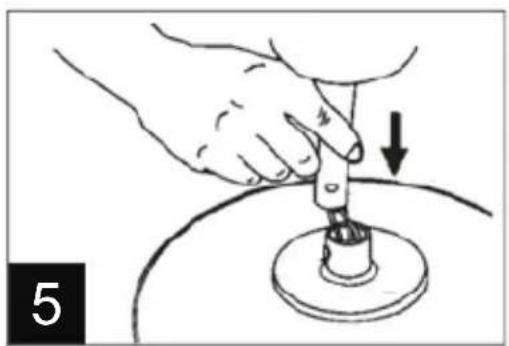 sede della semisfera in plastica 10