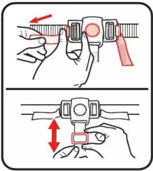 Illustration showing two-step instructions for adjusting a wristwatch belt, with red arrows indicating the movement and change.