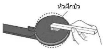 หัวฝึกมัว