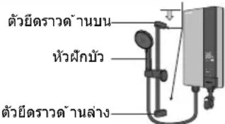ด้วยีตราด้านบน หัวผักบัว ด้วยีตราด้านล่าง