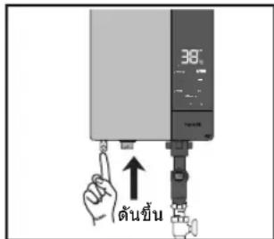 38 ต้นขึ้น