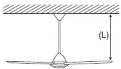 (L)