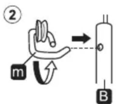 ② m B