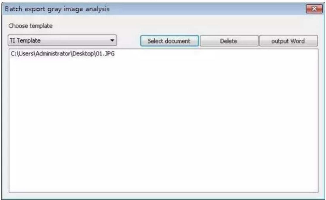 Batch export gray image analysis Choose template TI Template Select document Delete output Word C:\Users\Administrator\Desktop\01.JPG