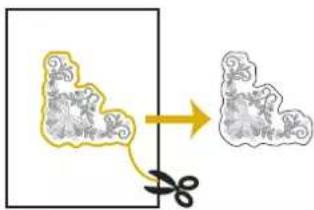 Diagram showing a hair follicle being cut with scissors, illustrating hair follicle structure before and after treatment.