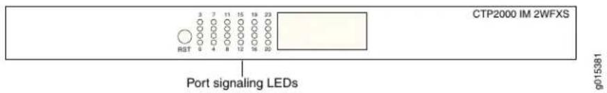 CTP2000 IM 2WFXS RST Port signaling LEDs g015381