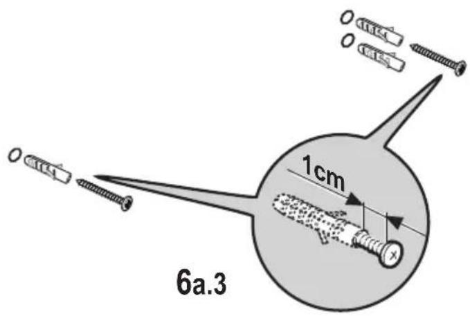 6a.3 1cm